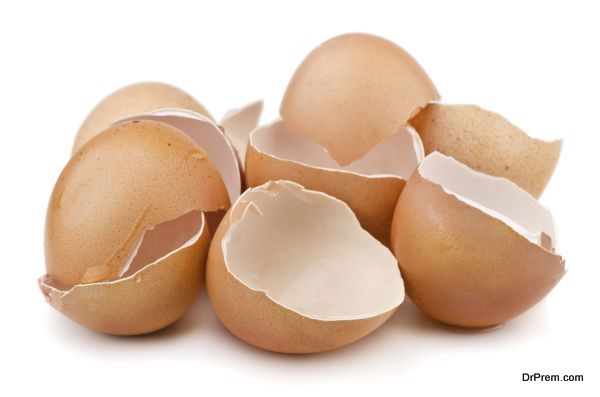 Group of broken egg shells isolated