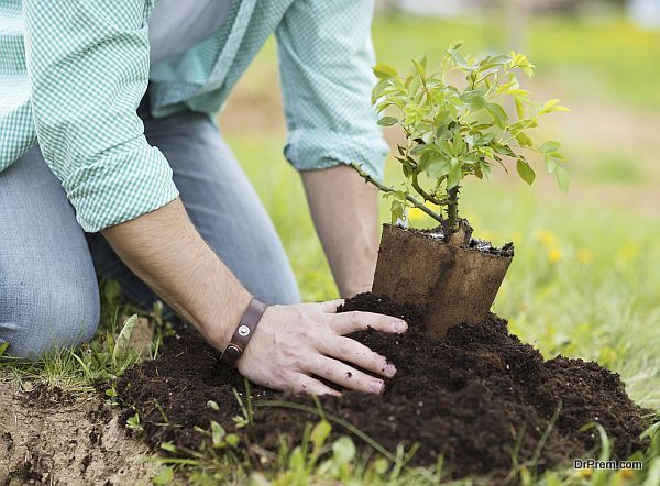 Close-up of young man's hands planting small tree in his backyard garden