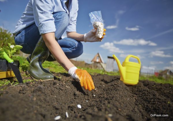 Image of female farmer sowing seed in the garden