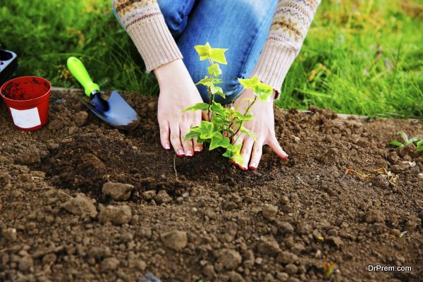 Woman planting flowers in the garden