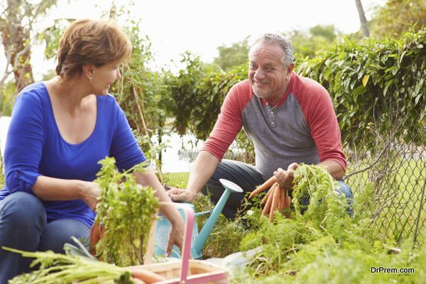 Senior Couple Working On Allotment Together