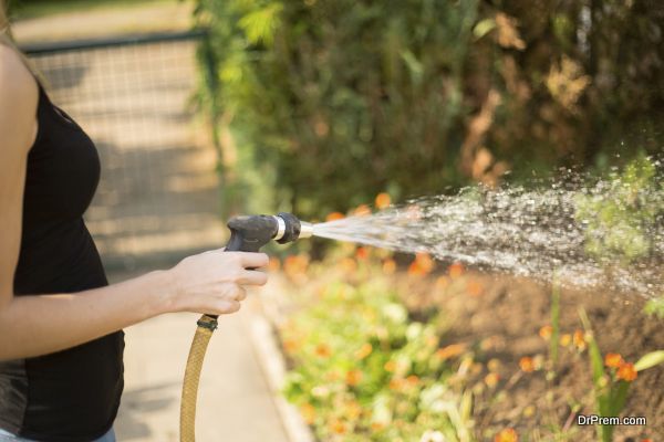 A woman's hand with water hose pours a green garden