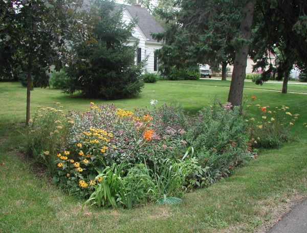 rain garden (2)