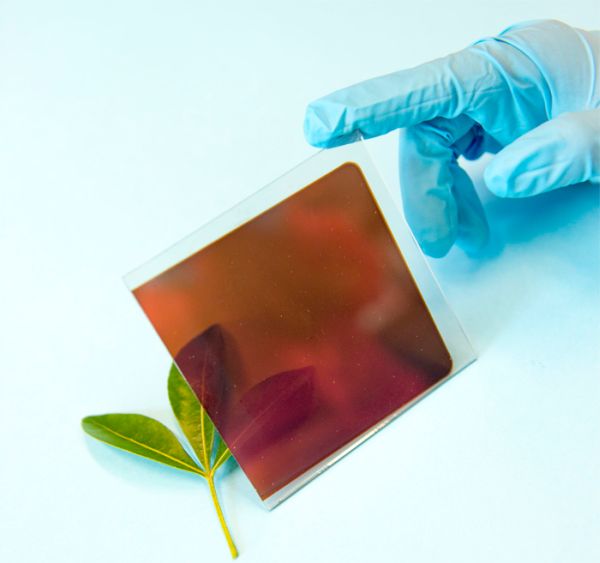 Perovskite solar cell