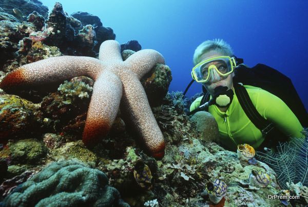 Female scuba diver beside large starfish