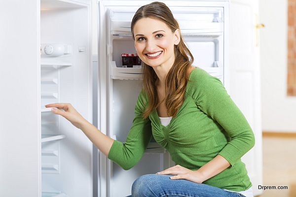 Housekeeper with Refrigerator