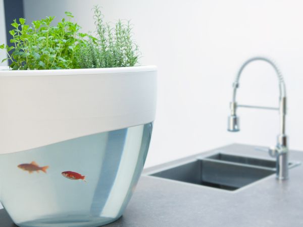 Self Cleaning Aquaponics Planter