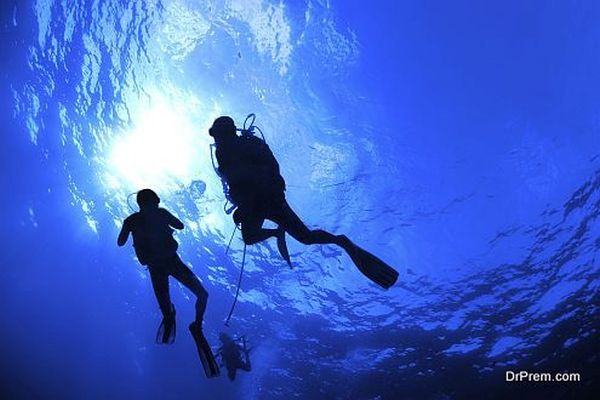 Silhouette of swimming scuba divers on blue water background
