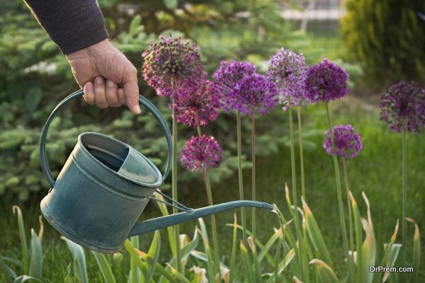 hand watering your garden (3)