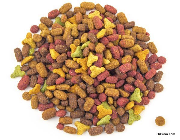 dry cat food on a white background