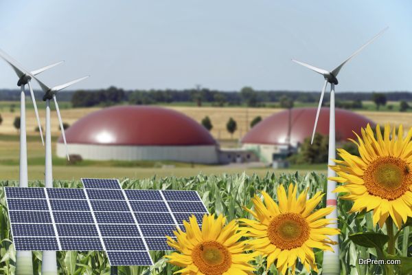 Biogas facility with sunflowers and wind turbine with solar panel