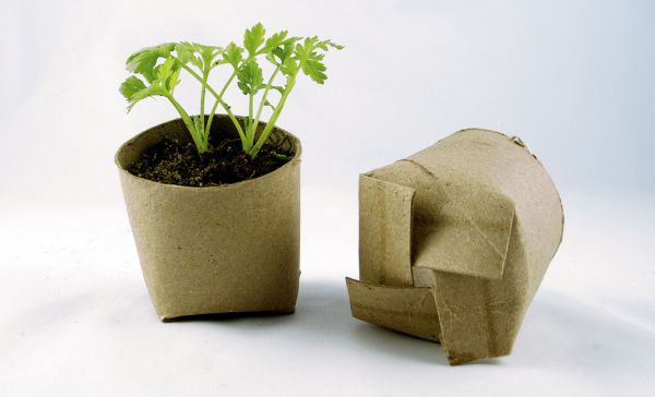 Seed Pots from Repurposed Cardboard Tubes