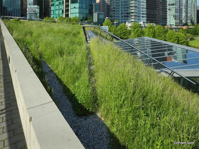 Green Roofs