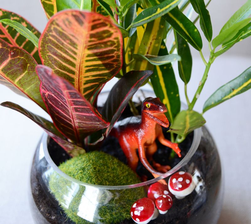Terrariums made from  toys