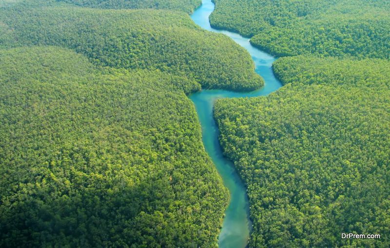 Amazon-Rainforest