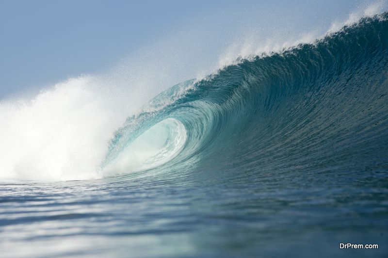 know about wave energy