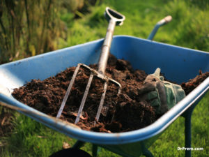 Maintain the soil