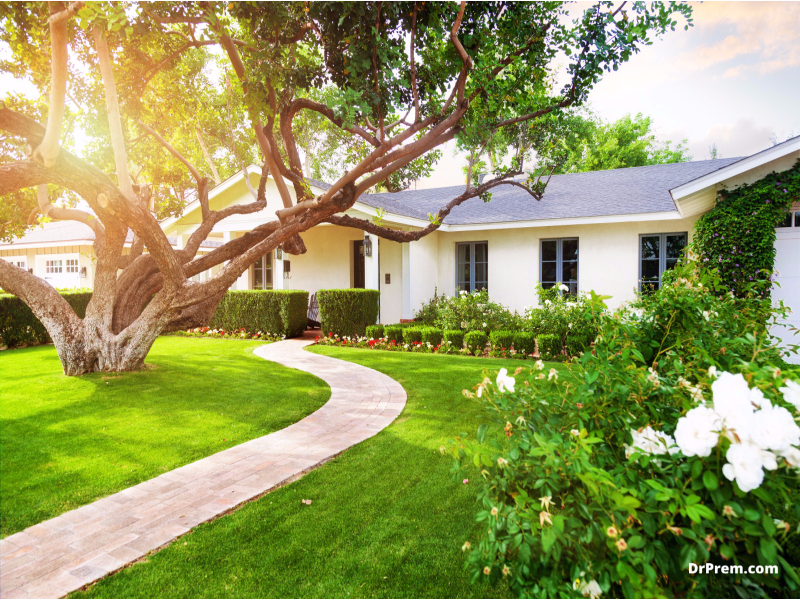 Landscape your back and front yards
