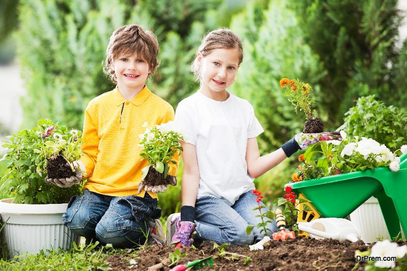 Setting-up-a-School-Garden