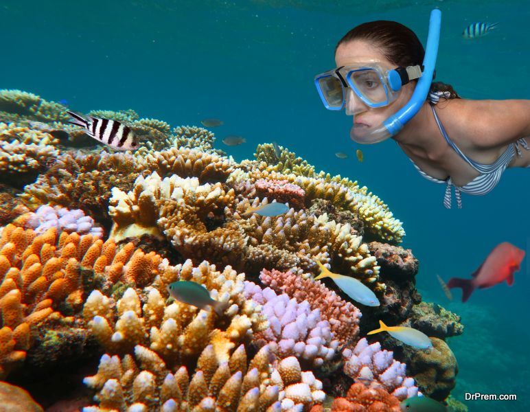 Protect The Great Barrier Reef