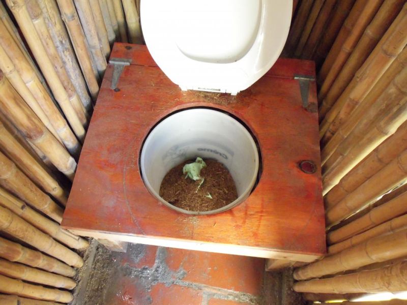 Bamboo toilet