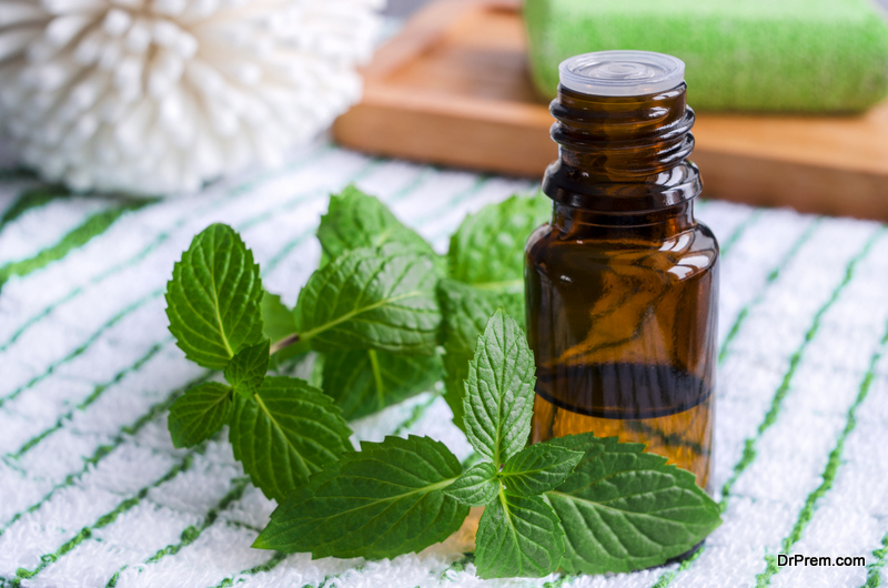 Peppermint-Essential-Oil.