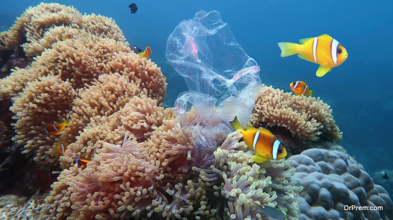 marine-life-effected-because-of-plastic