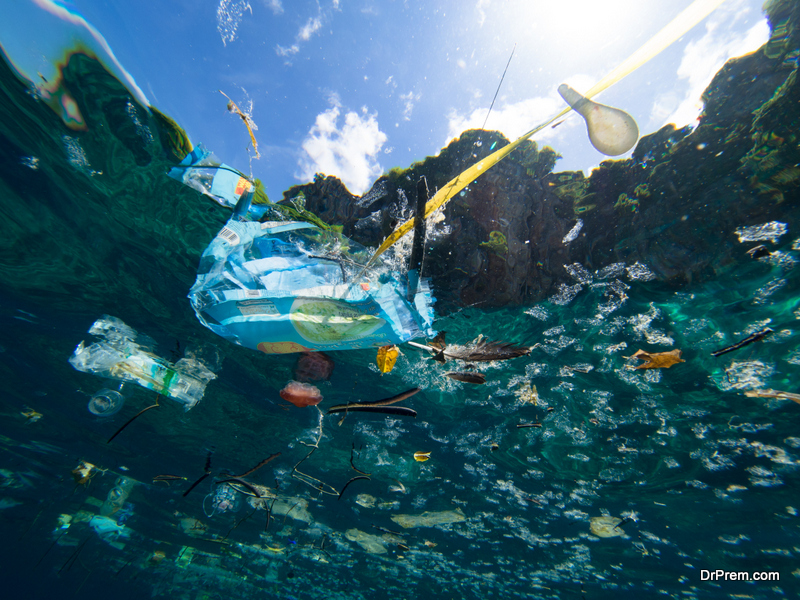 Cleaning Up The Oceans Plastic