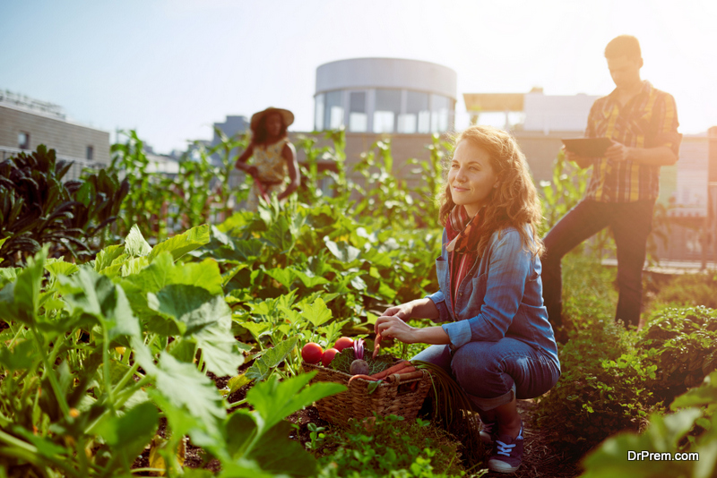 food for tourists sourced from local farms