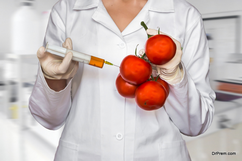Hypo-allergenic GM tomatoes
