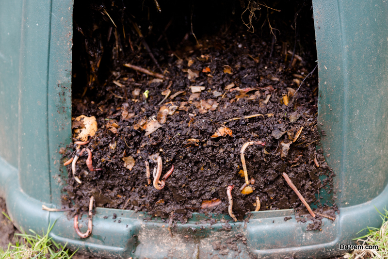 Improve Soil in Your Garden