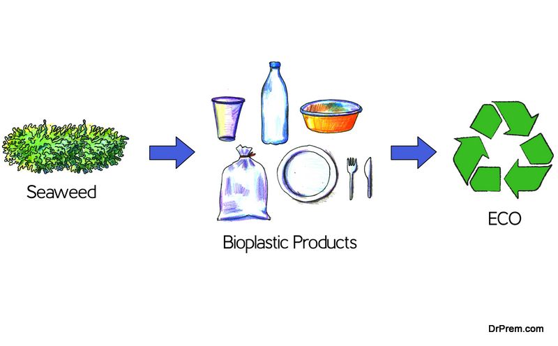 bio-plastic material