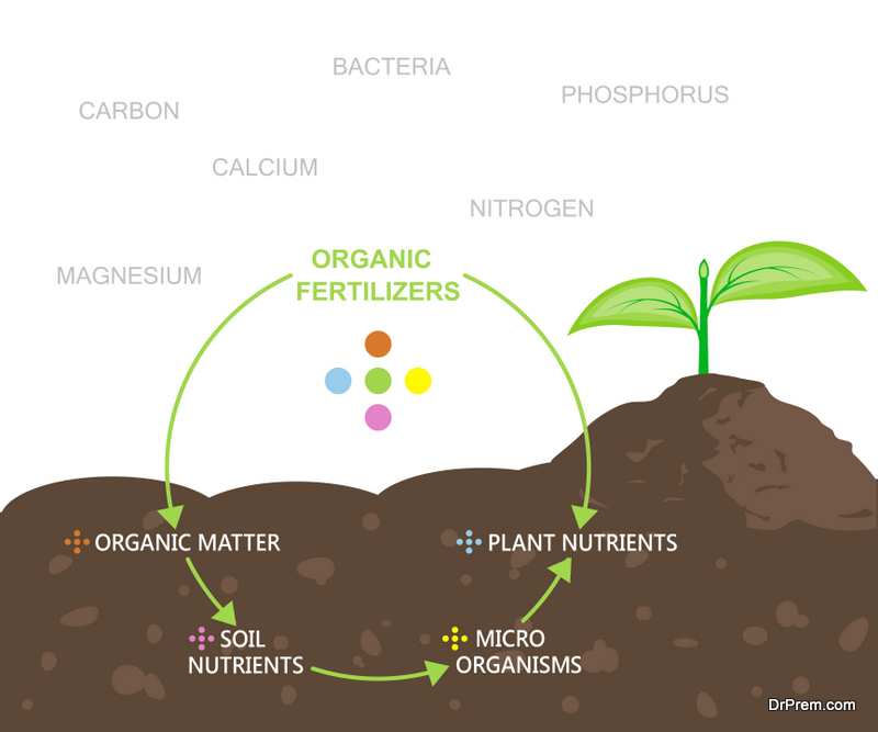 feeding soil microbe is so important