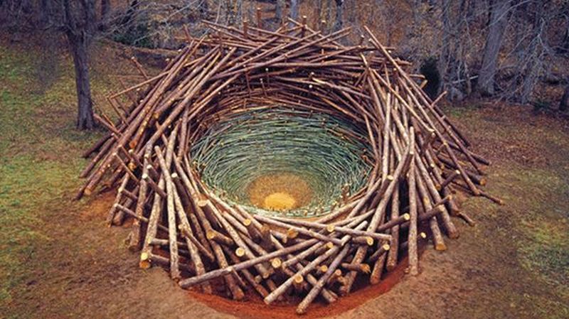 The “Clemson Clay Nest
