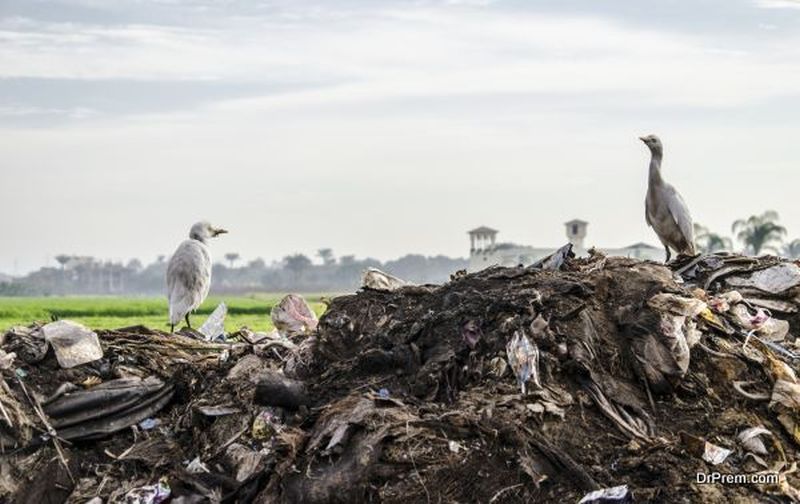 waste is destroying the environment