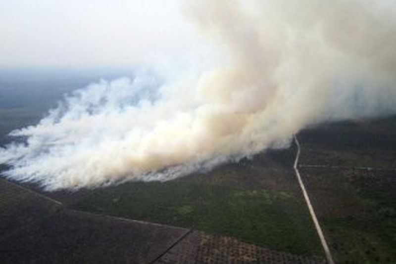 1997 Indonesian forest fire