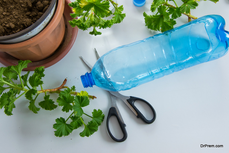 Plastic Bottle Plant