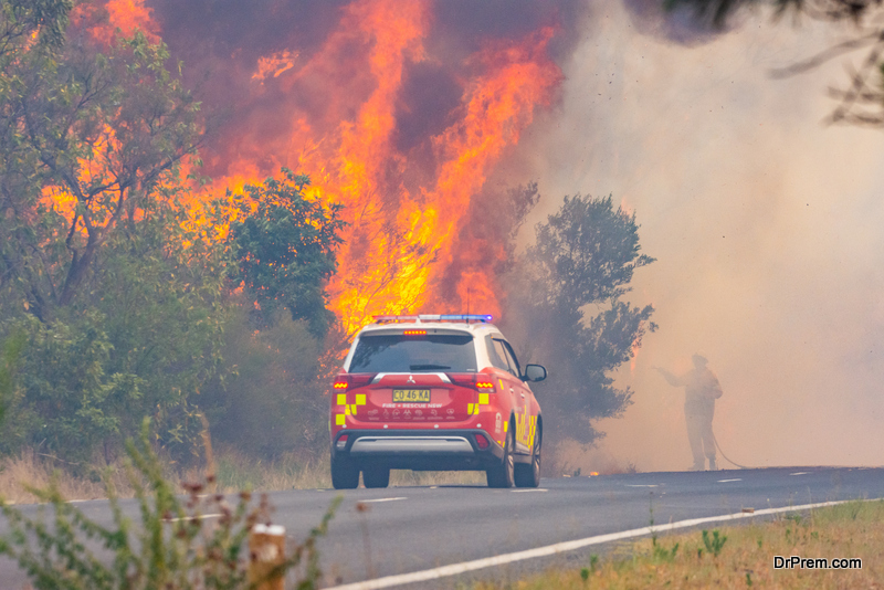 The Unprecedented Environmental Impact of Australian Bushfires