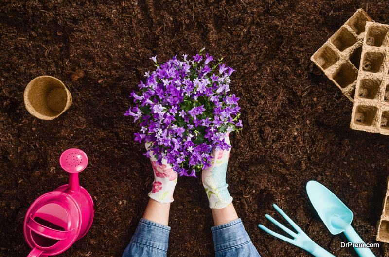 create your own eco-friendly garden at home