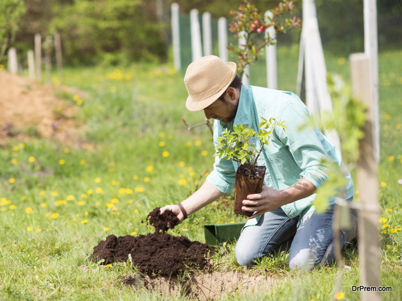 man planting tree