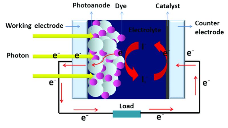 How Do Dye-Sensitized Solar Cells work