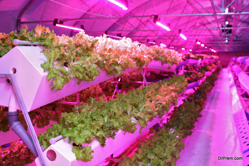 Aeroponic indoor farming