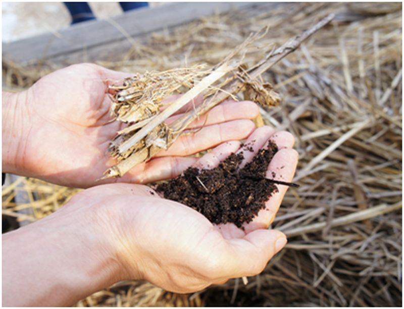 Constituents of Compost