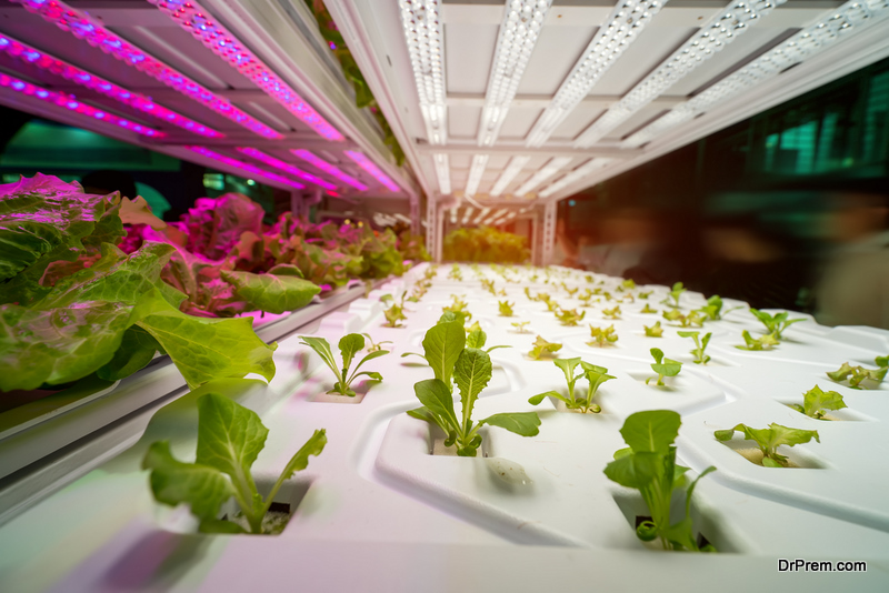 indoor farming key to solving the food production problem