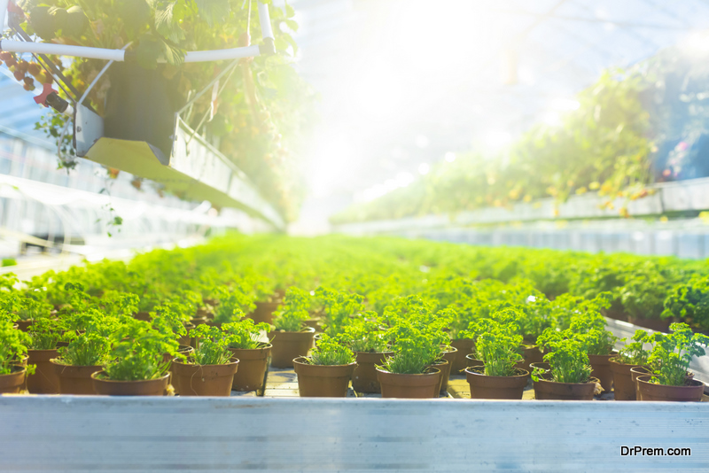 indoor farming