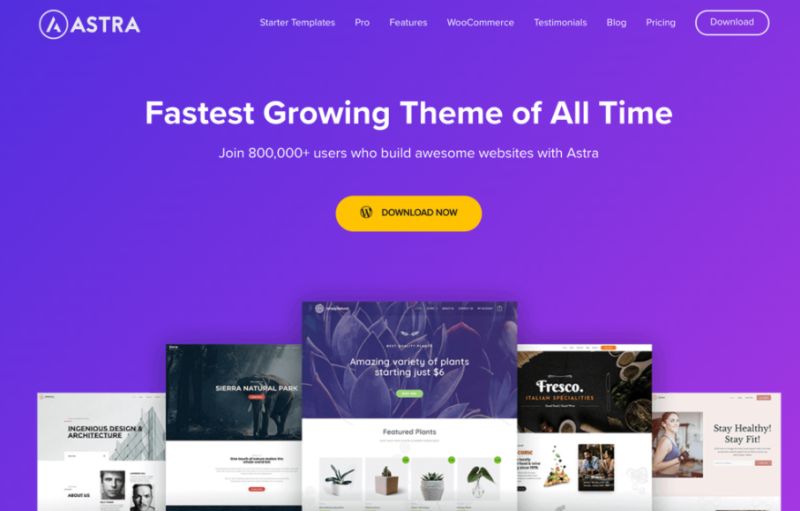 astra is the fastest growing theme