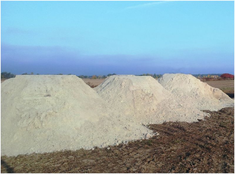 Benefits of Agricultural Lime for Plant and Livestock Farming