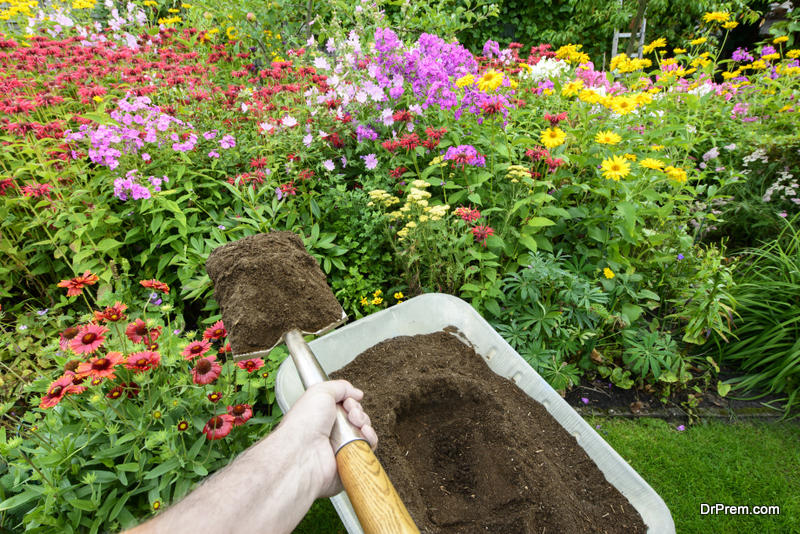 Making Your Garden More Eco-Friendly