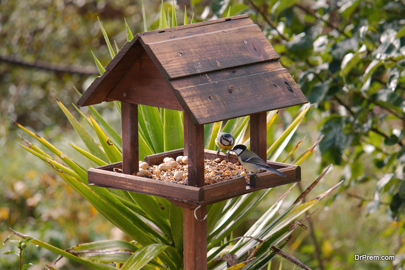 Ways to Build Your Very Own Home Wildlife Haven