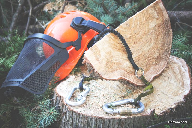 7 Should-Have Items of Gear Each Arborist Should Personal